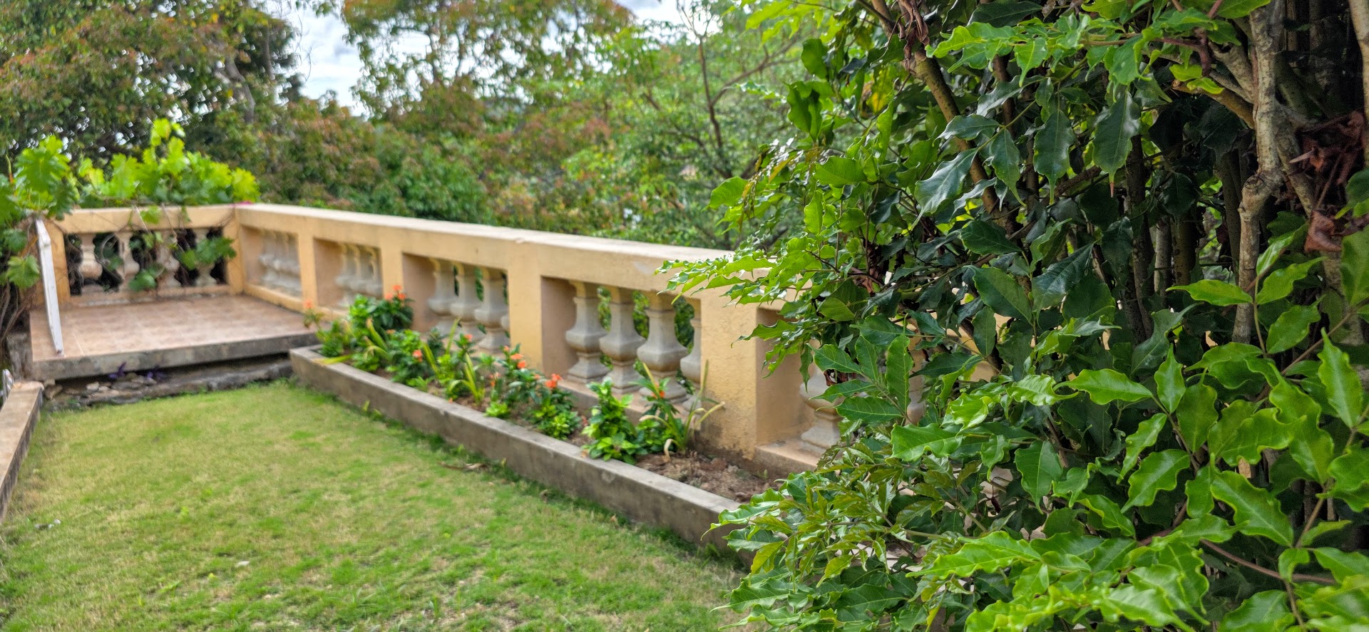 Smokey vale 1 Bedroom Retreat Front-Garden-1-bedroom-apartment-smokeyvale-kingston-jamaica