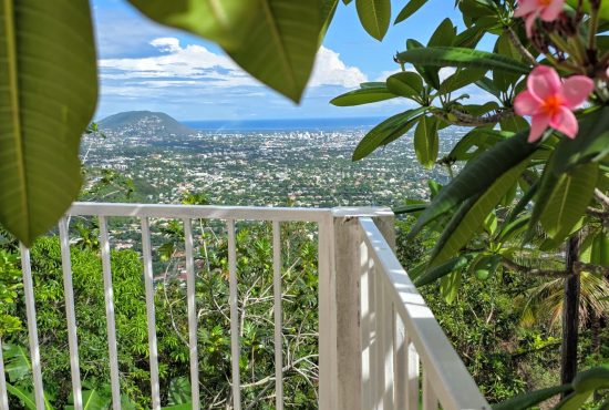 Smokeyvale apartment overlooking Kingston, JA