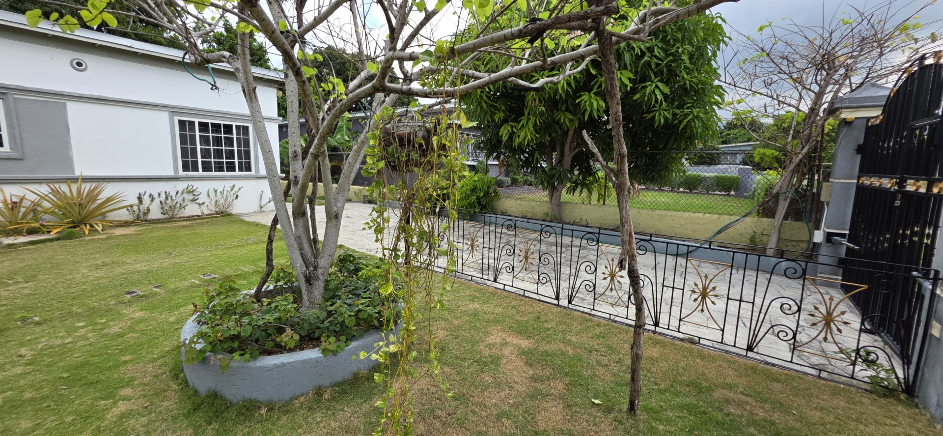Spacious 2 Bedroom Gem! Woodlawn-Ave-Kingston-19-Front-Lawn-View